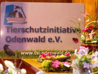 Frühjahrsbasar der Tierschutzinitiative Odenwald e.V.