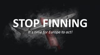Neue Petition auf unserer Liste: Stop Finning – Stop the Trade (Abtrennen von Flossen und Handel damit stoppen) - Bitte macht mit!!!