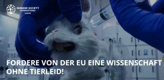 Petition:  Fordere von der EU eine Wissenschaft ohne Tierleid!