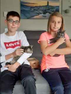 Grizabella und Thunder toben nun durch ihr neues Zuhause, vermittelt 10/2021