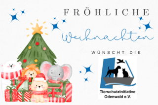 Fröhliche Weihnachten