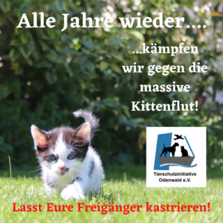 Bitte lasst Eure Freigänger kastrieren!