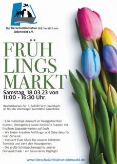 Unser Frühlingsmarkt am 18.03.2023