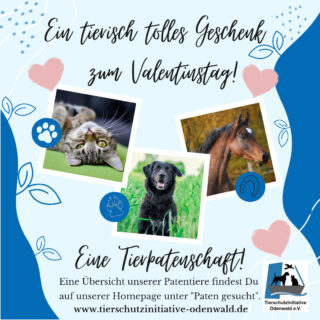 Ein tierisch tolles Geschenk zum Valentinstag