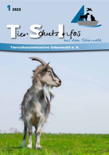 Unsere "Tierschutzinfos aus dem Odenwald" sind ONLINE