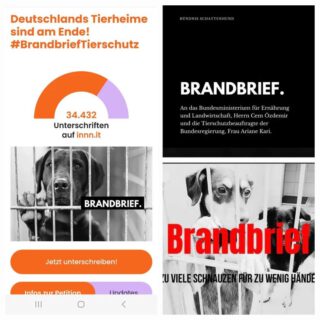 Der Brandbrief der Tierheime - jede Unterschrift zählt!