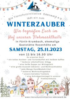 Winterzauber 2023 am Samstag, den 25.11.2023 von 11 bis 16.30 Uhr