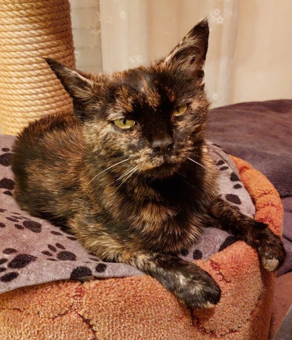 Cleo – Bild 4