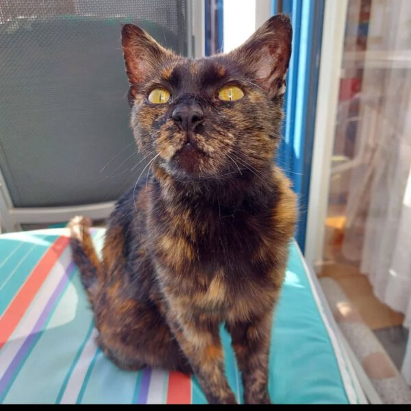 Cleo – Bild 6