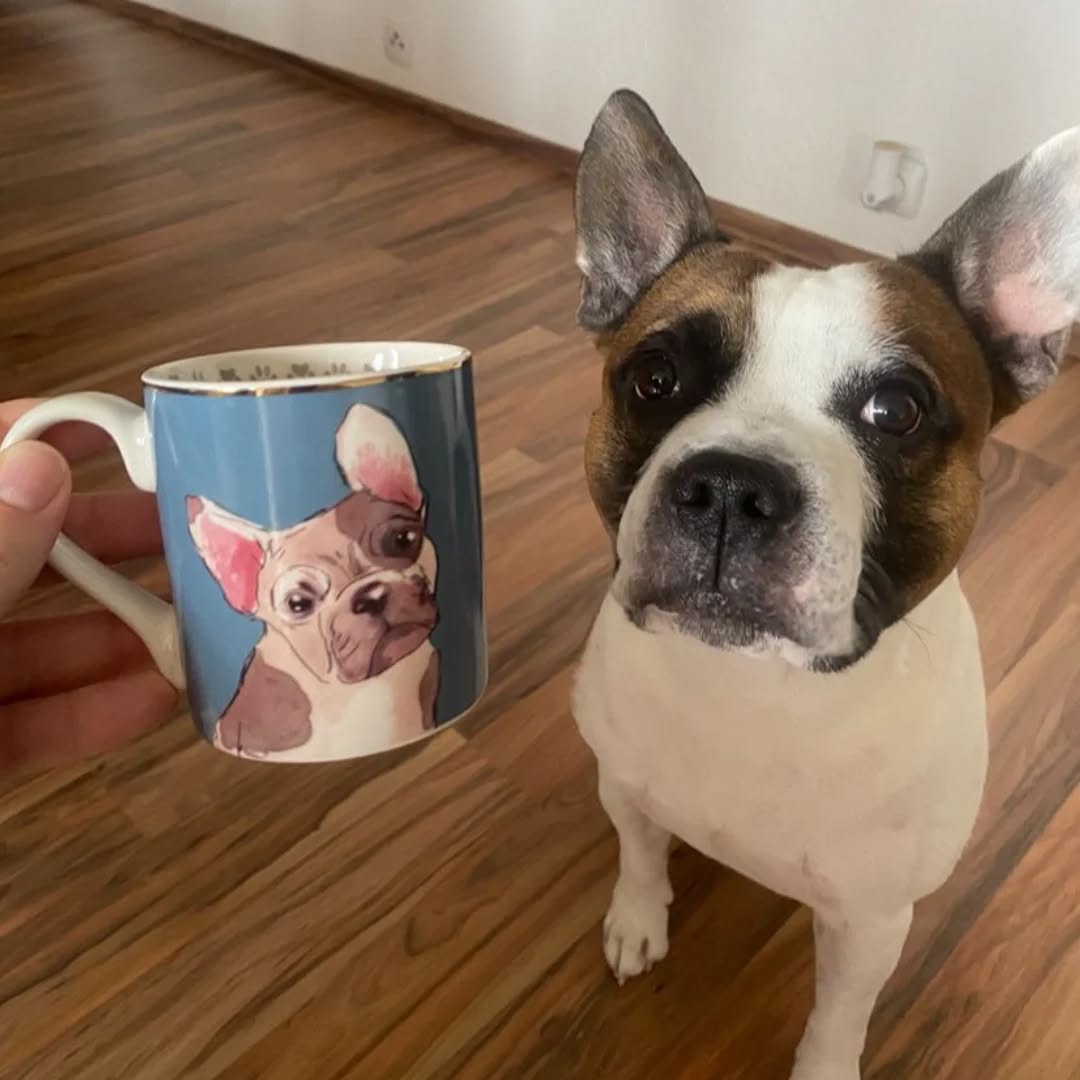 HUDSON, Rüde, 04/2021 – Bild 7