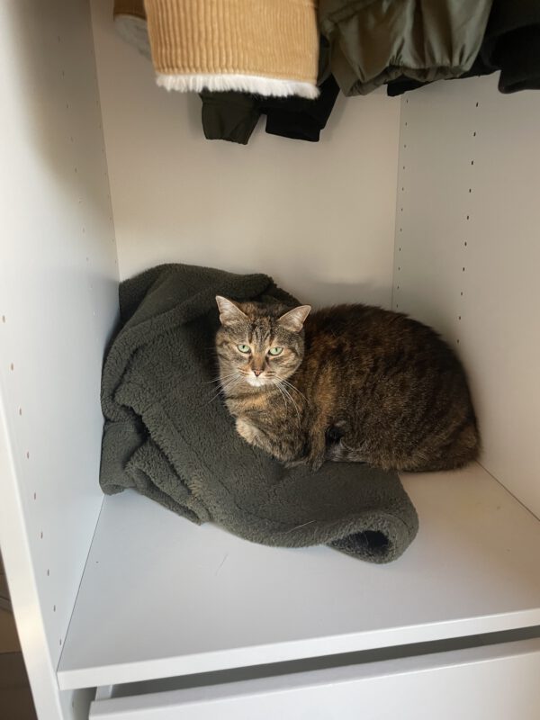 RUBY und Greta, Katze, 2018 – Bild 6