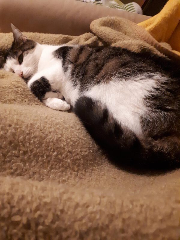 Mimi – Bild 5