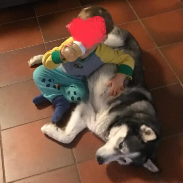 ANOUK, Rüde, – Bild 2
