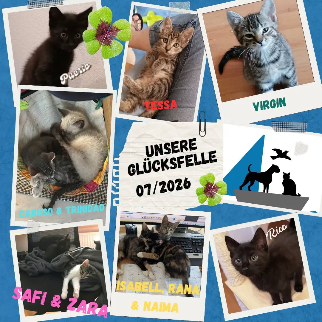Unsere Glücksfellchen im Juli 2026